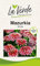 Zinnie Mazurkia Blumensamen