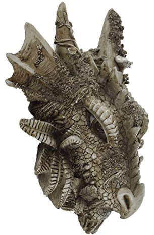 Prezents Drachenkopf Woodland Range Wandschild Natur, mythische Fantasie, Gartendekoration, Geschenkidee, Höhe 27,7 cm