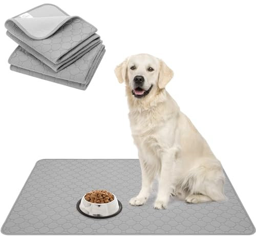 BINGPET wasserdichte rutschfeste Hundefuttermatte 2er Set,Saugfähige Waschbare Haustierfuttermatte für Hunde und Katze, mit Erhöhtem Rand, Haustiermatte für Futter und Urin,Solide grau (60 x 90 cm)