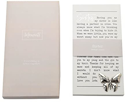 Sister Sentimental Moments Message Plaque Freestanding Or Hanging Gift MO110