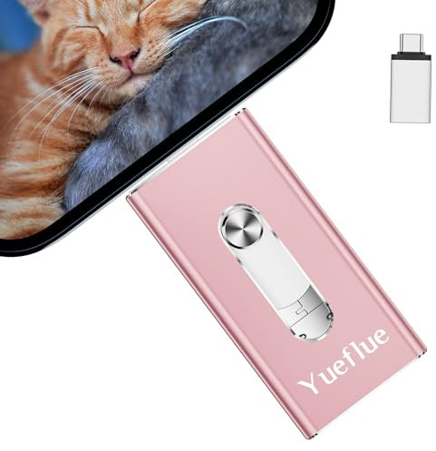 Yueflue USB Stick für lphone 256GB, USB Stick für lphone Speicherstick mit i0S/pad/Mac/Android/Typ-C/PC, Kopieren von Fotos und Videos ohne App herunterzuladen.