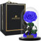 PÉTIOLE DE ROSE Rosa eterna Real preservada, La Bella y la Bestia, Rosa eterna Natural en cúpula de Cristal, Regalo día de la Madre, San Valentín, Sant Jordi, Cumpleaños. (Azul)