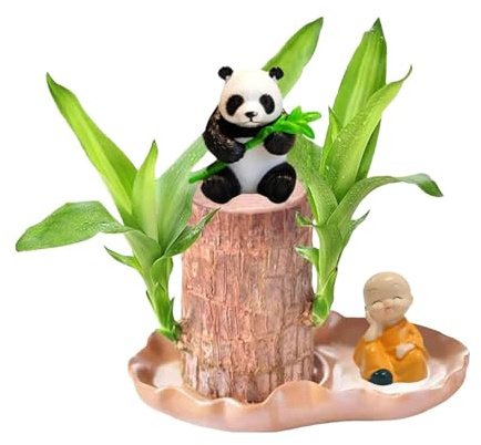 Lucky Bamboo Pflanzen Indoor - Baumstumpf Holzstumpf Mini Brasilien Glücksholz Magisches Sprossen Glücksbambusholz - Brasilianisches Glücksholz Pflanze Brasilianisches Holz (A)
