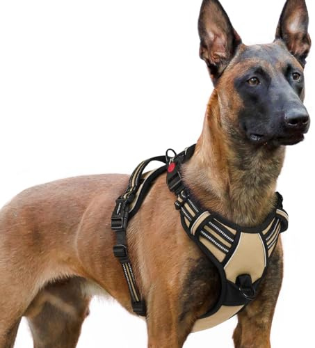 rabbitgoo Hundegeschirr Grosse Hunde Leichtes Anlegen, XL, Beige | Anti Zug, Ohne Kopfdurchzug, Halsverschluss mit Sicherung, 2 D-Ringe, Weich Gepolstert, Reflektierend für Gassi & Training
