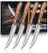 DRAGON RIOT Steakmesser-Set 4 Teilig, Steak Messer mit mit Holzgriff, Steak Messerset mit Geschenkbox
