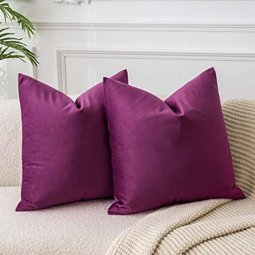 JUSPURBET Copricuscini in Velluto Viola Lusso 45x45 cm Set di 2 per Divano Soggiorno Camera da Letto Decorativi Quadrati Solidi Morbidi con Cerniera Invisibile