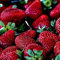 Semillas de Fresas DECOALIVE Sobre de Semillas de Fresón para Cultivar en Terraza y Jardín