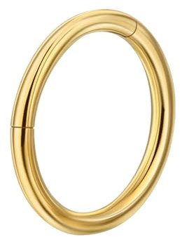 Nasenpiercing Ring Dünn Scharnier 316L Chirurgenstahl Segmentring Clicker Knorpel Piercing Gold 6mm 18G Nostril Piercing Forward Helix Piercing Schmuck