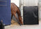 Kentucky Horsewear Kick Pad schwarz