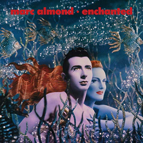 Enchanted ed Midnight Blue
