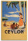 FYRN Vintage Travel Ceylon Sri Lanka Illustration Poster Wandkunst Druck Retro Ästhetische Raumdekoration Bürodekorationen 40 x 60 cm Unrahmen