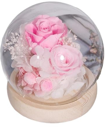 shjxi Blumen in Glaskuppel, Deko Blumen im Glas, Blumen mit Kuppel, Blumen mit Kuppel, konservierte Blumen in klarer Kuppel für Freundinnen