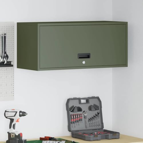 Teenpull Armoire murale pour garage, en acier revêtu par pulvérisation, vert olive, 80 x 33 x 35 cm, avec porte de vérin à gaz, verrouillable, pour atelier et débarras