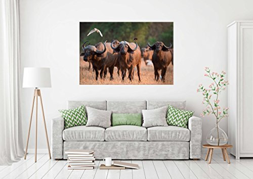 Bild aus Karton für die Wand, Schals | Bild für Wände | Dekorative Feder | verschiedene Maße 120 x 58 cm | Dekoration für Esszimmer, Wohnzimmer, Zimmer