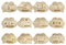 BABALUU 12 Hitos Mensuales de Madera para Bebés - Tarjetas Madera Cumple Mes-Juegos de Regalo para Baby Shower y Recién Nacidos – Regalo Original Bebe etapas.