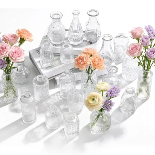 Jafurnestia 22 Stück Kleine Klarglas-Budenvasen – Mini Glasvasen im Vintage-Stil für Tischdekoration, Hochzeiten, Zuhause & Feste
