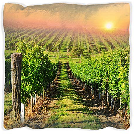 Wallario Dekokissen 60 x 60 cm mit schwarzer Rückseite, Weinberg mit untergehender Sonne, Kuschelkissen mit weicher Plüsch-Oberfläche
