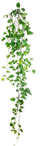 Zen et Ethnique Stickers Muraux - Branches de Lierre