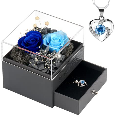 SHOKUTO Regalo Donna- 2 Eterna Real Rose con Collana, Regali per Le Donne Moglie Mamma Nonna Fidanzata sul Compleanno Anniversario Madri San Valentino Giorno di Natale
