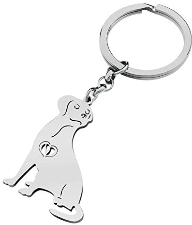 RAIDIN Edelstahl 18K Gold Silber Plattiert Süße Schlüsselanhänger Hund Schlüsselring für Damen Mädchen Geschenke Auto Geldbeutel Schlüssel Zubehör (Silber-009 Labrador)