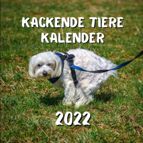 Kackende Tiere Kalender 2022: Ein Taschenbuch-Kalender der besonderen Sorte | Lustige Geschenkidee zum Neujahr