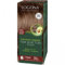 Logona Colorante Vegetal Avellana 060 100Gr. 100 ml