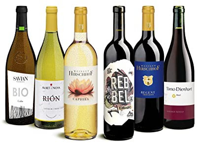 DELINAT – Weinpaket Rebberg-Rebellen, Weine aus pilzwiderstandsfähigen Rebsorten, Probierset, Rotwein, Weißwein, trocken 6 Fl. Biowein à 0.75 l