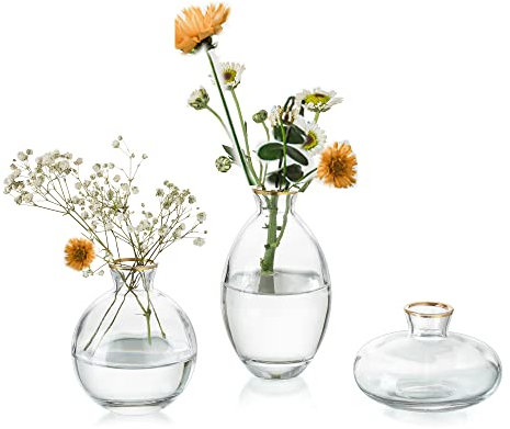 EylKoi Kleine Vasen füR Tischdeko Glas 3 Stück/Satz Transparent mit Goldrand Mini Vase Vintage Handmade Hydroponic Glasvase Blumenvase Modern Set Hochzeit Tischdeko, Zuhause Wohnzimmer Blumen Rose