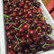 35 pcs kirschbaum samen kübelpflanzen winterhart samen bio (Prunus avium) säulenobst winterhart samen säulenobstbäume garten gartenpflanzen winterhart mehrjährig balkon pflanzen balkon