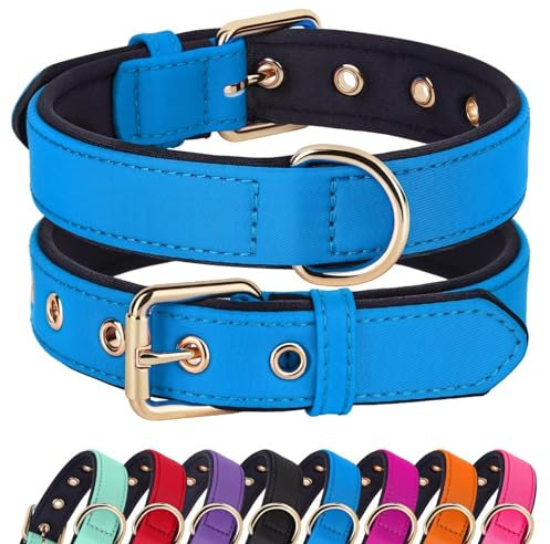 Didog Hundehalsband mit weicher Polsterung, Starke Hundehalsbänder mit Metallschnalle, leichte und atmungsaktive Hundehalsbänder für kleine Hunde,Blau,S