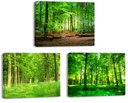 Piy Painting 3 Pièces Impression sur Toile Jungle Verte, Nature Tableau sur toile Encadré, Image sur toile de Arbre Forêt Tableau Decoration Murale pour chambre, salle de bain, salle d’étude 40x30cm