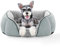 JOEJOY Dog Bed, Hundebett Kleine Hunde Hundekorb Waschbar - Flauschig Hundekorb, Dog Sofa,Kuschelig PlüSch Hundebett für Hunde und Katzen-Helles Grau(S 51×48×15cm)