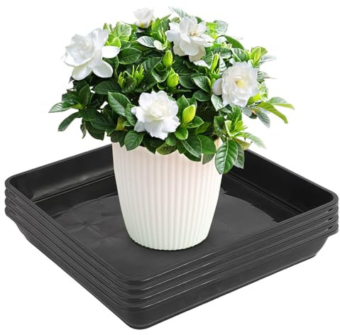 WANDGU 4 Stück Blumentopf Untersetzer: 30 x 30 cm Quadrat Pflanze Untersetzer, Blumenkübel Schale Kunststoff, Eckig Kunststoff Pflanzentopf, Pflanzentopf Zubehör für Outdoor Indoor Pflanzen (Schwarz)