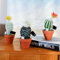 Airbirhom Juego de 3 plantas artificiales de cactus en macetas, cactus sintético realista con flores coloridas, decoración de interiores sin mantenimiento para el hogar, oficina, escritorio y jardín