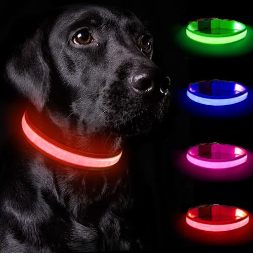 Nepfaivy Leuchthalsband Hund USB Aufladbar - Hundehalsband Leuchtend mit Verstellbarer Länge für Mittelgroße bis Große Hunde, LED Halsband Hund mit 3 Beleuchtungsmodi für Nacht Sicherheit(Rot-XS)