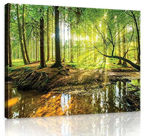 Forwall - Leinwand Bilder - Wald Natur Landschaft Sonne - 100x75 cm Leinwandbilder - Bild auf leinwand - Wandbild XXL groß Wandbilder für Wohnzimmer Schlafzimmer Wohnzimmerbilder Modern