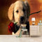 QMWZZV Papier Peint Panoramique 3D Photo Murales Modèle De Chiot Animal Peinture Murale Auto-adhésif Toile Geant Poster 250x175 cm Pour Salon Chambre Ados Chambre de Bébé Décoration Murale