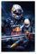 OakiTa World Formula 1 Driver Max Verstappen Poster 10 Leinwand Poster Wandkunst Dekor Druck Bild Gemälde für Wohnzimmer Schlafzimmer Dekoration ungerahmt 20 x 30 cm