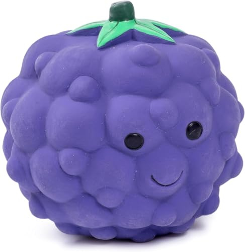 Petface Latex Blackberry Soft Chew Dog Toy, Small (Pack of 1) | Durable, Flexible & Strong, Squeaky Fun, Promotes Healthy Chewing, for Teething & Training