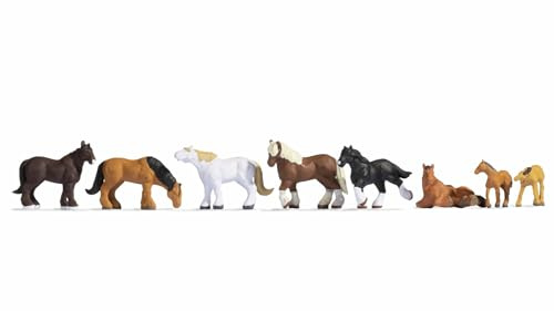 Noch 36762 cold-blooded horses