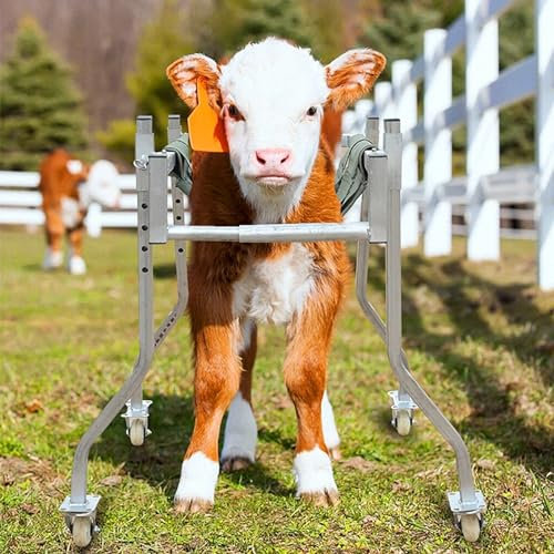 Verstellbarer Ochsenrollstuhl,Kälbertransport-Rollstuhlwagen Mit Verdickter Wadenhülse Und Edelstahlhalterung, Verstellbare Länge,Breite Und Höhe,hautfreundlich Und 360°-Unterstützung,für Tiere