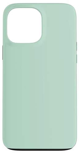 Light Green Case for iPhone 13 Pro Max