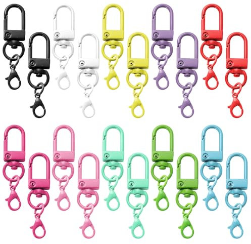 Cosswe Bunte Karabiner Schlüsselanhänger 20 Stück Metall Hummer Krallenverschlüsse Karabinerhaken Schlüsselband Clips DIY 10 Farben