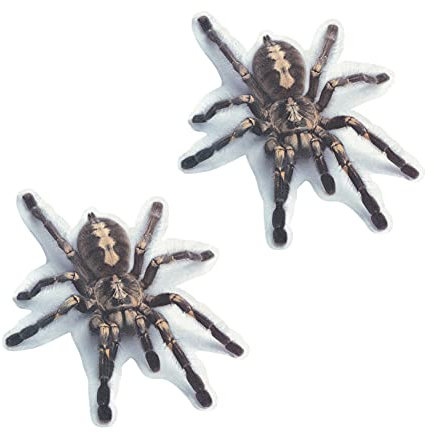 Auto Aufkleber,Autosimulation Tieraufkleber PVC Simulation Tier Stoßstange Tür Dekor 3D-Simulation Tier DIY Abziehbilder Wasserdichter 3D-Autoaufkleber Scorpion Spinne Eidechse Aufkleber