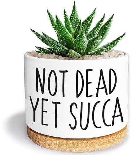 Kwtzkuo Not Dead Yet Succa – Joli pot de fleurs à l'aloe vera et cactus avec plateau en bambou pour décoration de rebord de fenêtre, cadeau pour les amateurs de plantes de 8,9 cm