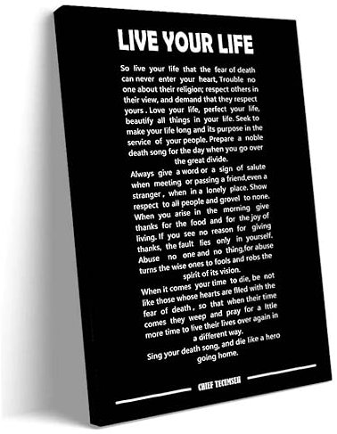 Live Your Life Gedicht Wandkunst Modern gerahmt Motivierende Zitate Poster Leinwand Inspirierende Wandkunst Bilder Drucke Gerahmt (40,6 x 61 cm)