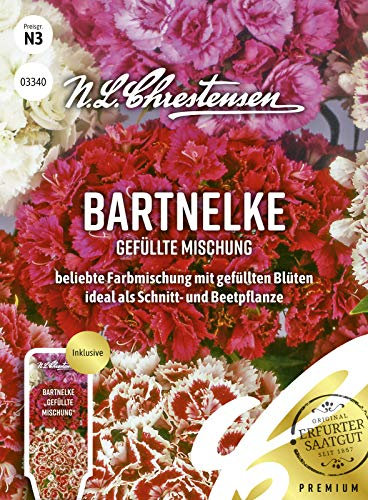 Bartnelke Gefüllte Mischung, N.L. Chrestensen Blumensamen Mischung für Garten und Wiese