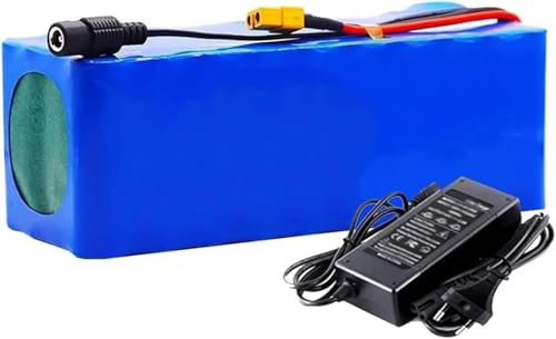 24V 25,2V 10Ah E-Bike Li-Ion Akku, E-Bike Moped Akku Li-Ion Ladegerät [Energieeffizienzklasse A] XT60