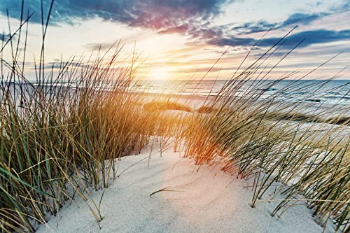 DÜNEN Fototapete VLIES-350x260 cm (1099A)-Nordsee Dünen Strand Meer Sonnenuntergang Landschaft Wandtapete-Inkl. Kleister-Vliestapete Bild Dekoration Wand-Dekor Moderne Motiv-Tapete Panorama Poster XXL