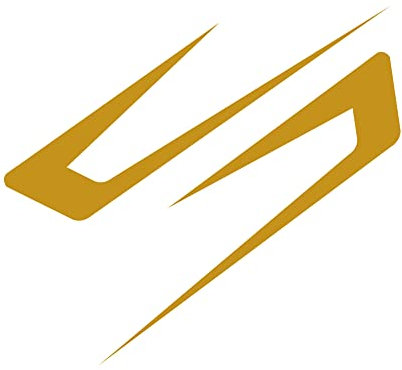 2 Stück Auto Aufkleber Vinyl Racing Streifen Aufkleber, MoreChioce PVC Seitenaufkleber Universal Dekoration Aufkleber Seitenkörper Aufkleber Karosserie Aufkleber DIY Aufkleber Streifen,Gold